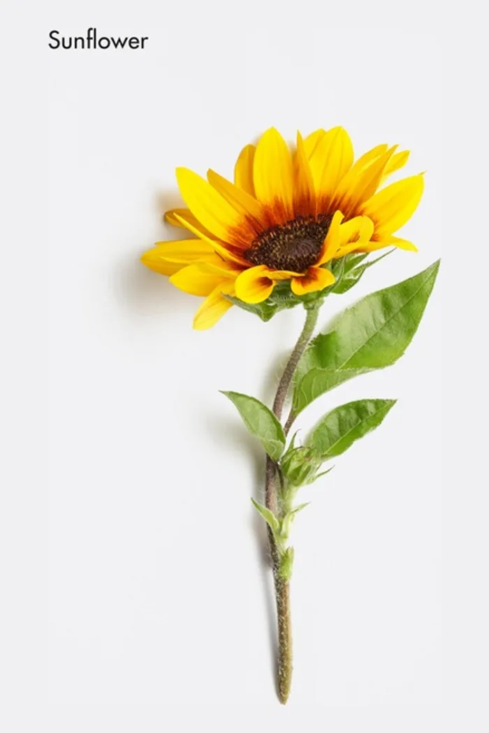 Тонирующая маска для волос .02 LB creamy caramel