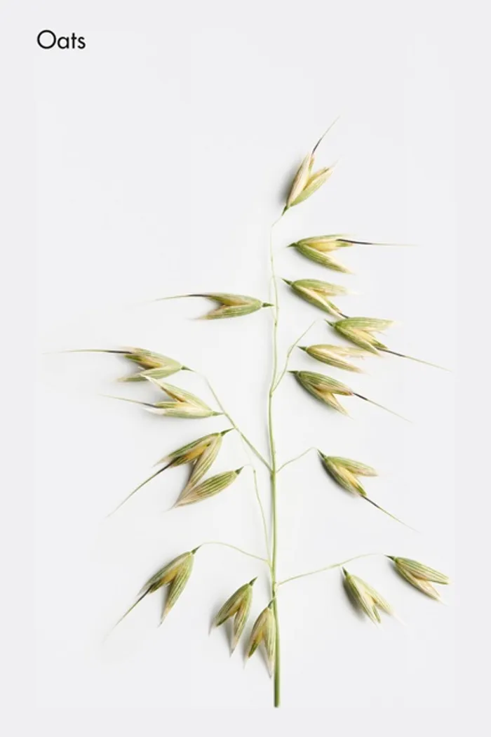 Шампунь для чувствительной кожи головы