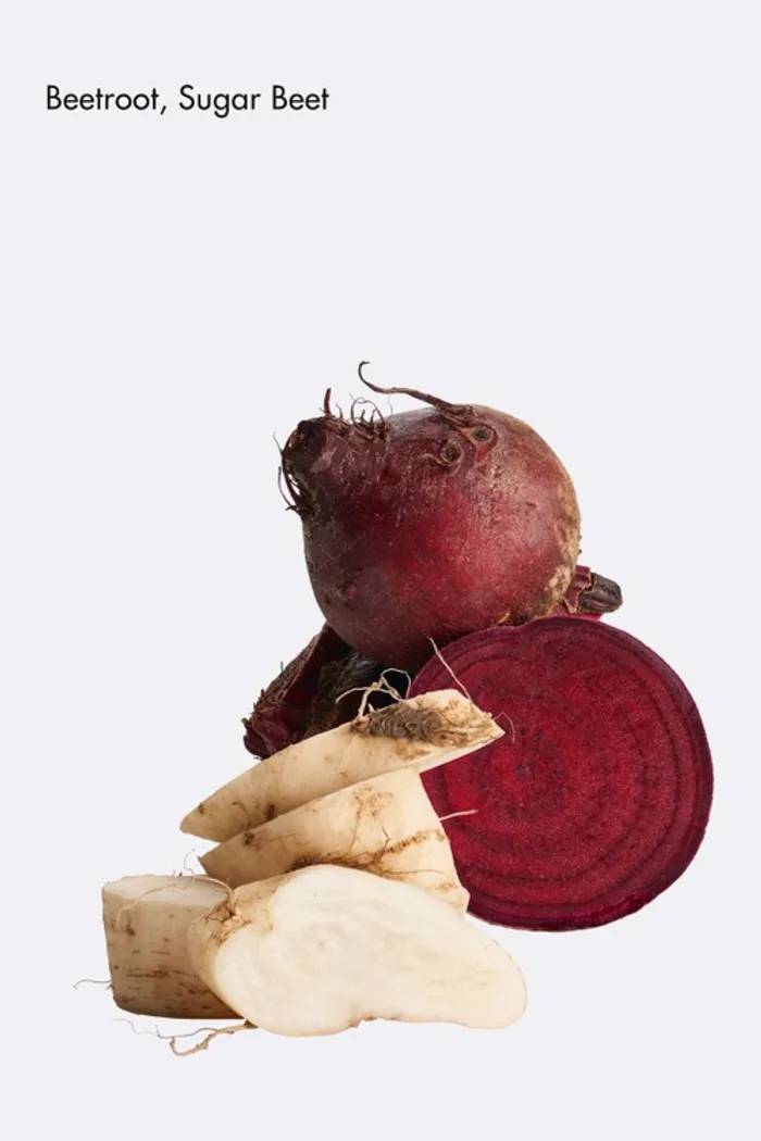 Шампунь для сухой кожи головы Restoring Lipokerine B Shampoo