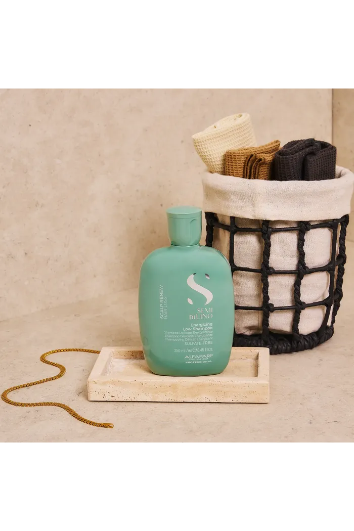 ALFAPARF Energizing Low Shampoo, 250 ml